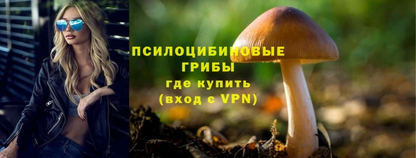 дживик Навашино