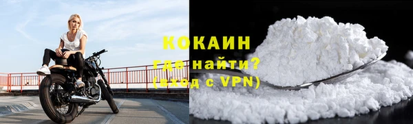 дживик Навашино