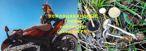 spice Надым