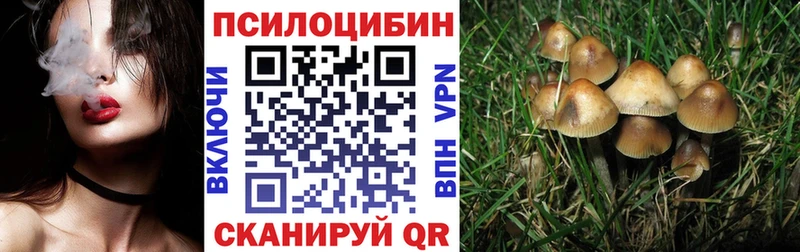 Купить  Сусуман  Галлюциногенные грибы MAGIC MUSHROOMS 