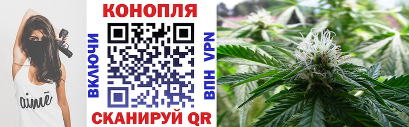Марихуана SATIVA & INDICA Сусуман